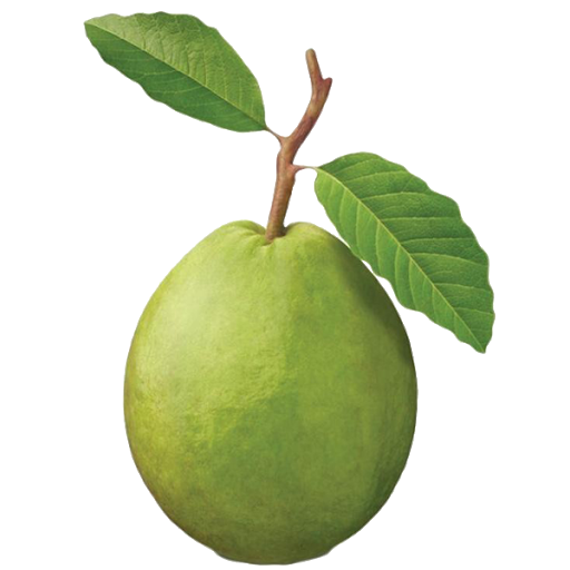 Guava Green Transparent PNG Image