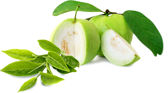 Guava Transparent PNG Image