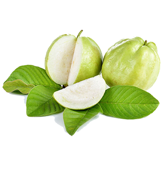 Guava Transparent PNG Image
