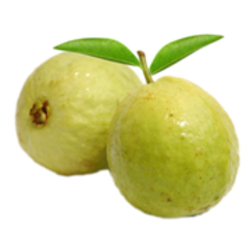 Guava Transparent PNG Image