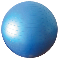 Gym Ball