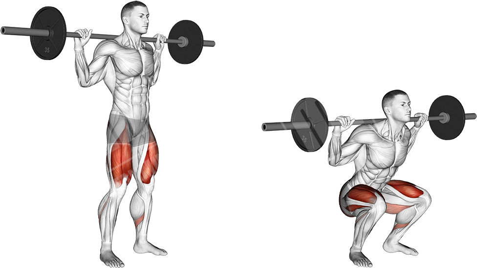 Squat Transparent PNG Image