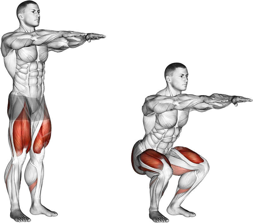 Squat Transparent PNG Image