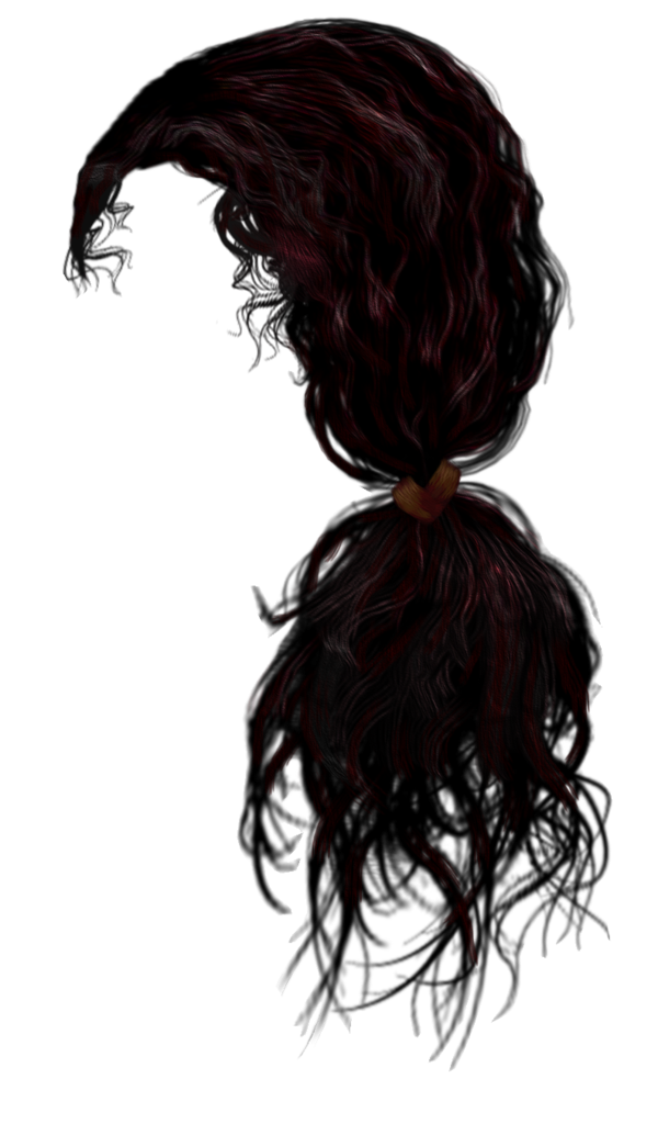 Hair 4 Transparent PNG Image