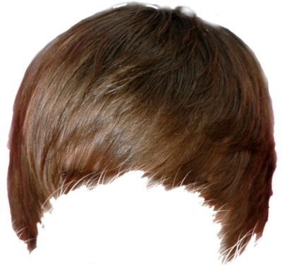 Hair Transparent PNG Image