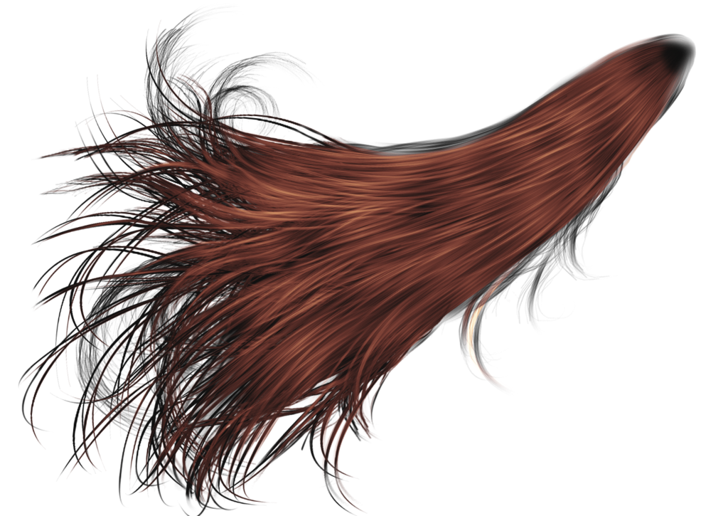 Hair Transparent PNG Image