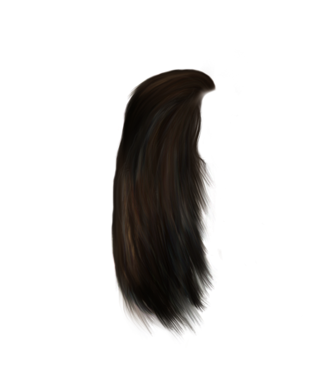 Hair 12 Transparent PNG Image