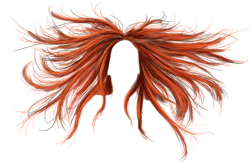 Hair 9 Transparent PNG Image