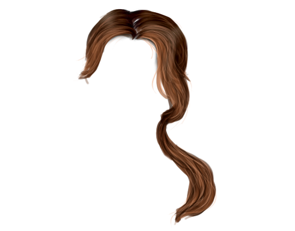 Hair 8 Transparent PNG Image