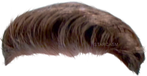 Haircut Transparent PNG Image