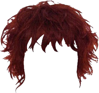Hairstyles File Transparent PNG Image