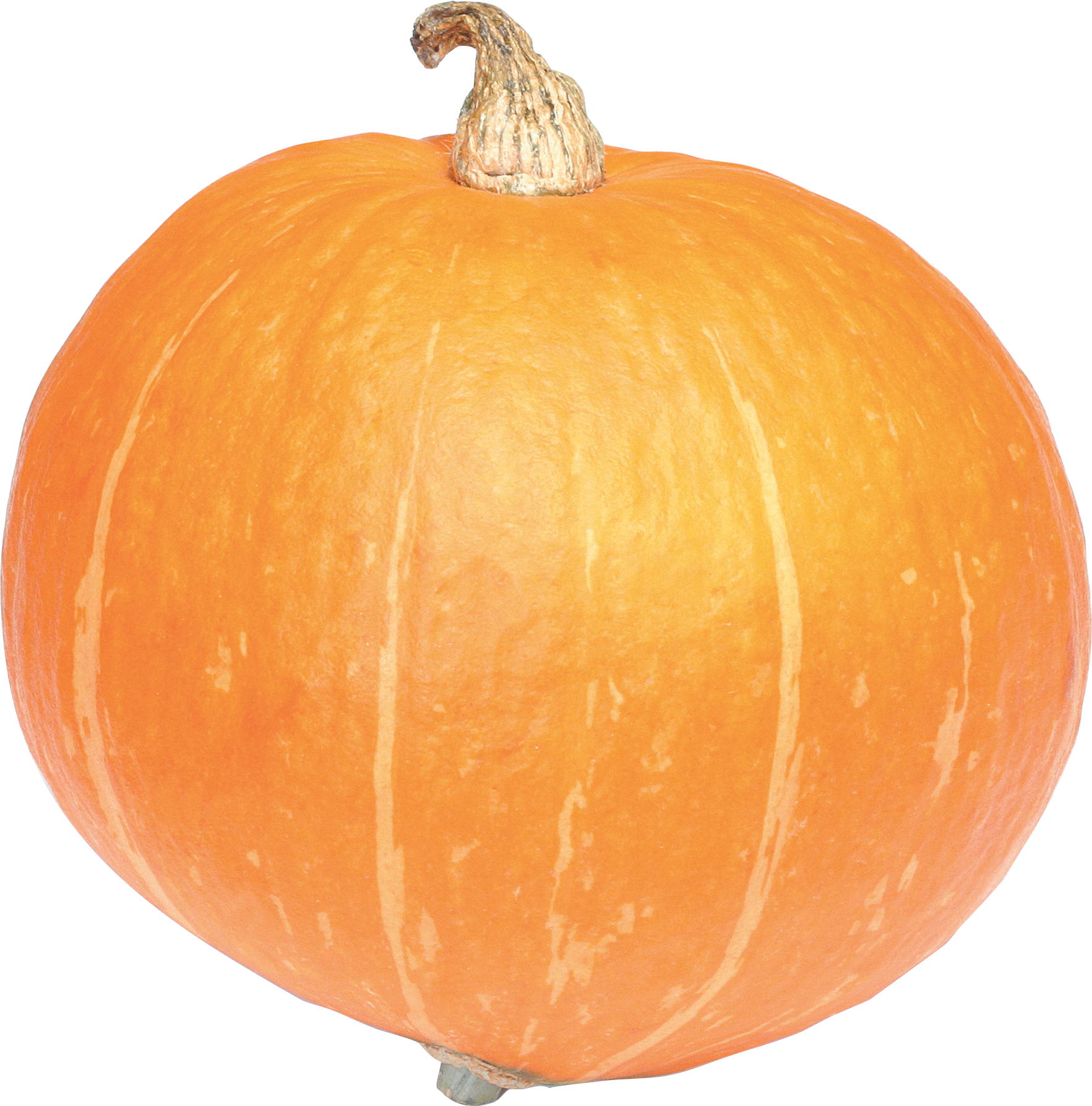Jack-O-Lantern Halloween Transparent PNG Image