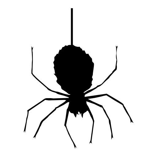 Halloween Spider Transparent PNG Image