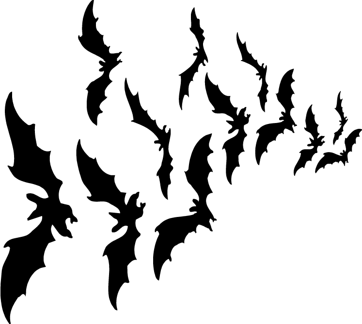 Halloween Bat Transparent PNG Image