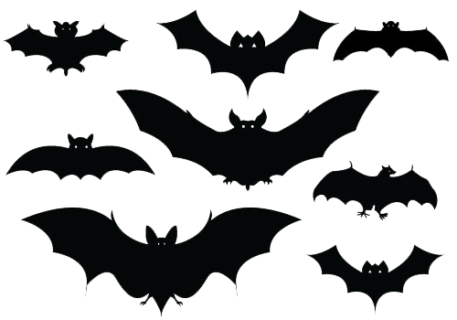 Halloween Bat Transparent PNG Image