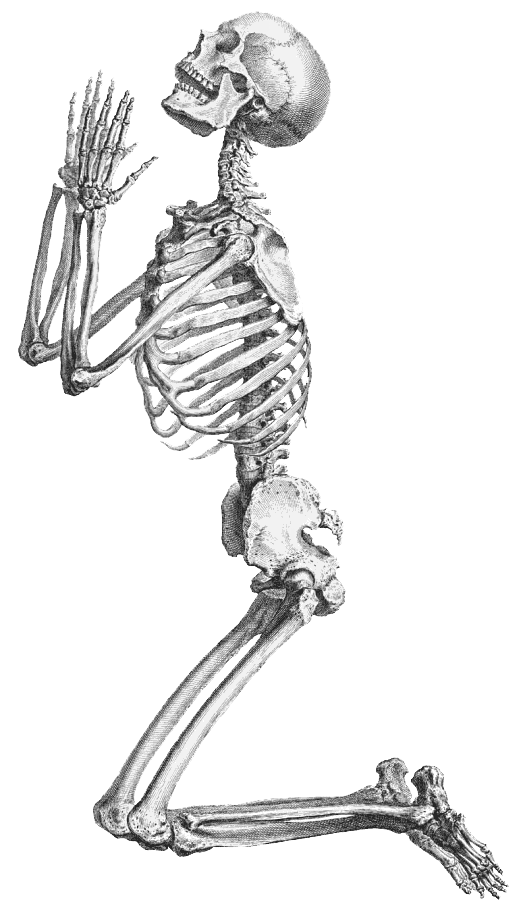 Halloween Skeleton Background Transparent PNG Image