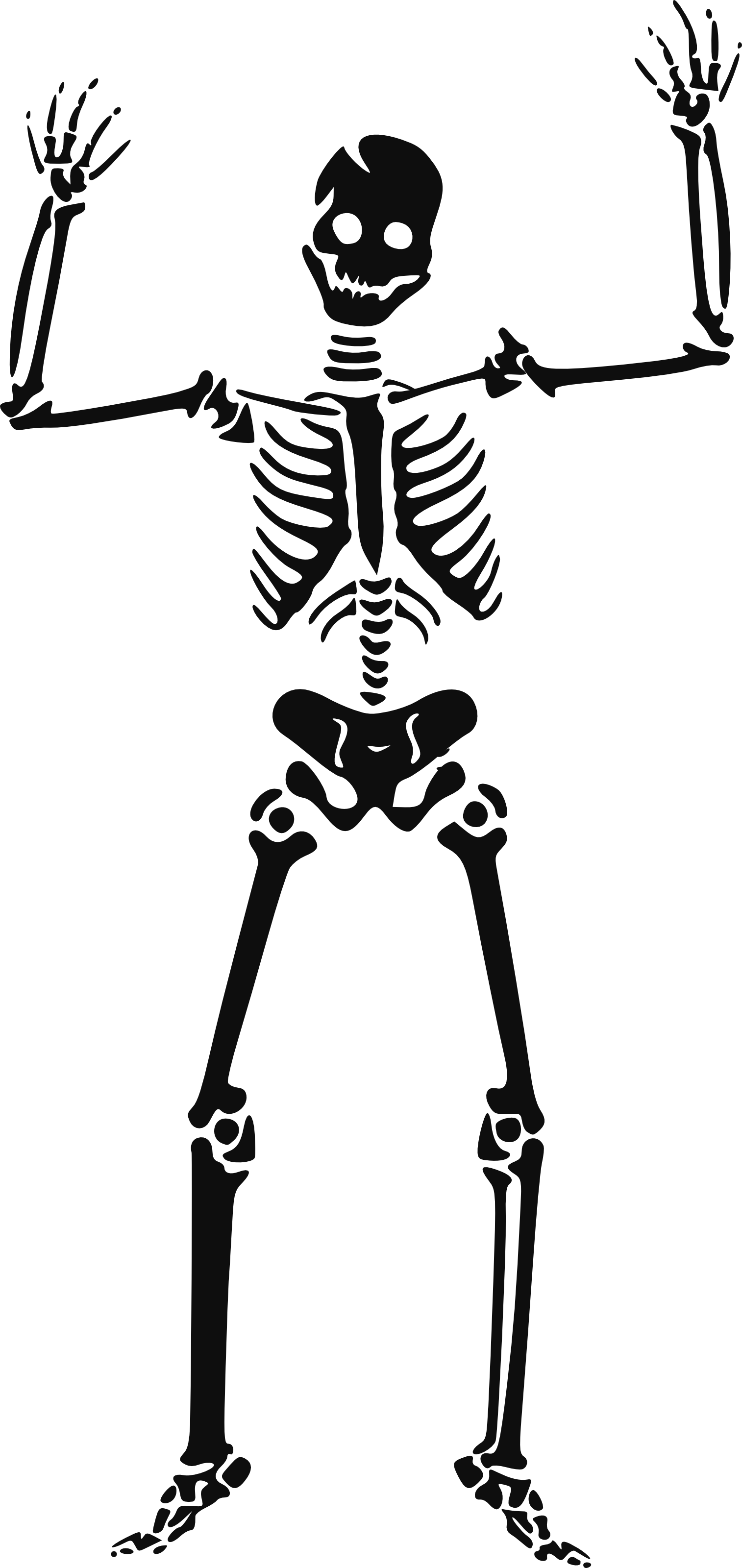 Halloween Skeleton Transparent PNG Image