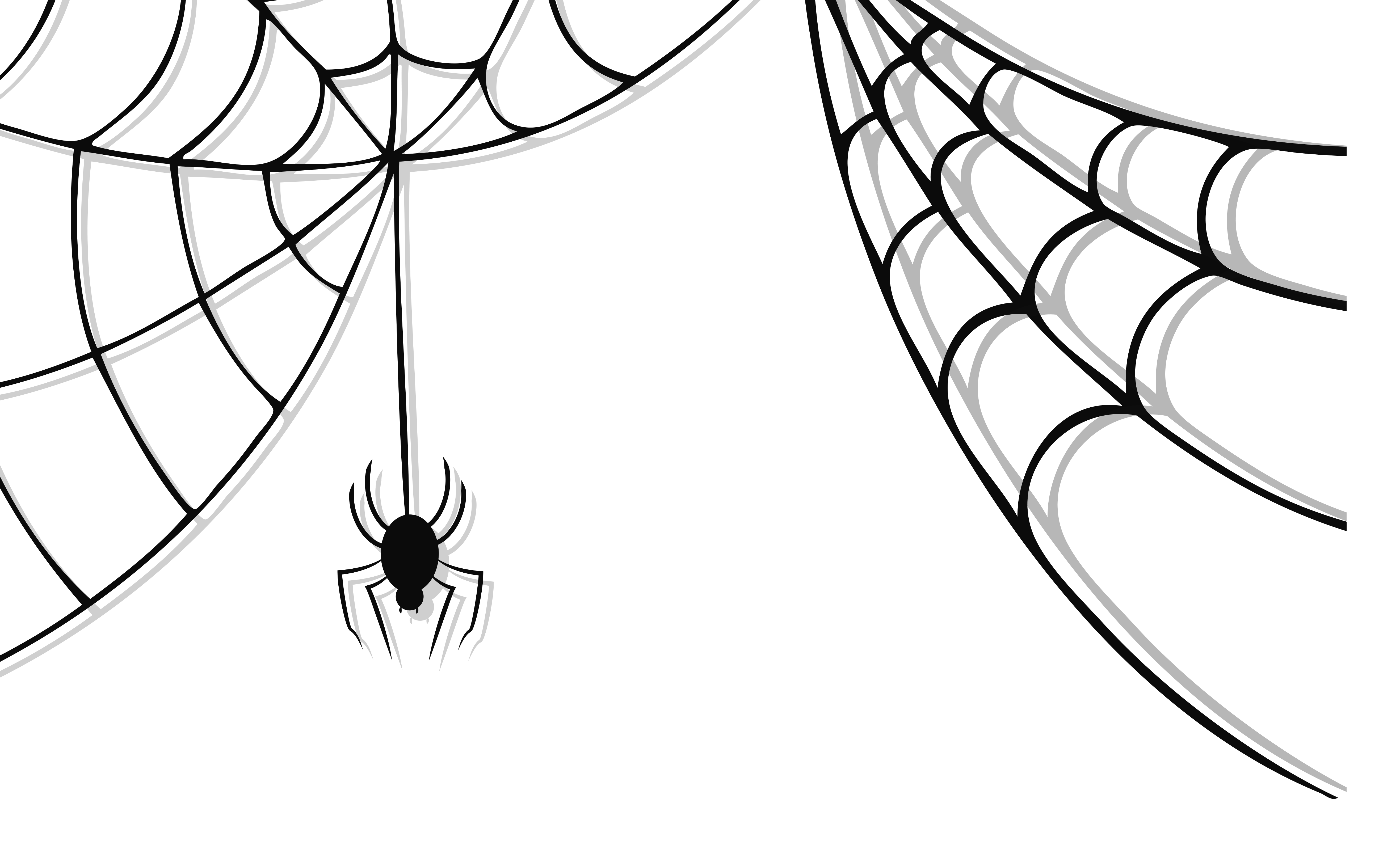 Halloween Spider Transparent PNG Image