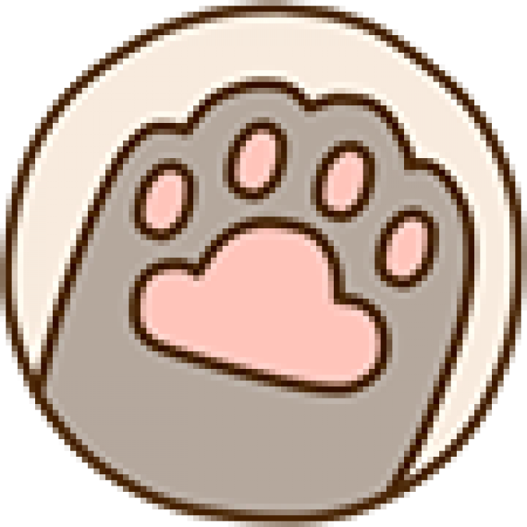 Face Pusheen Nose Cat Transparent PNG Image