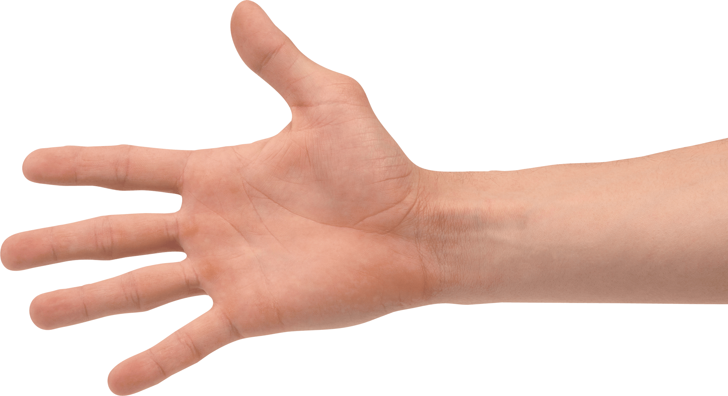 Hands Hand Transparent PNG Image