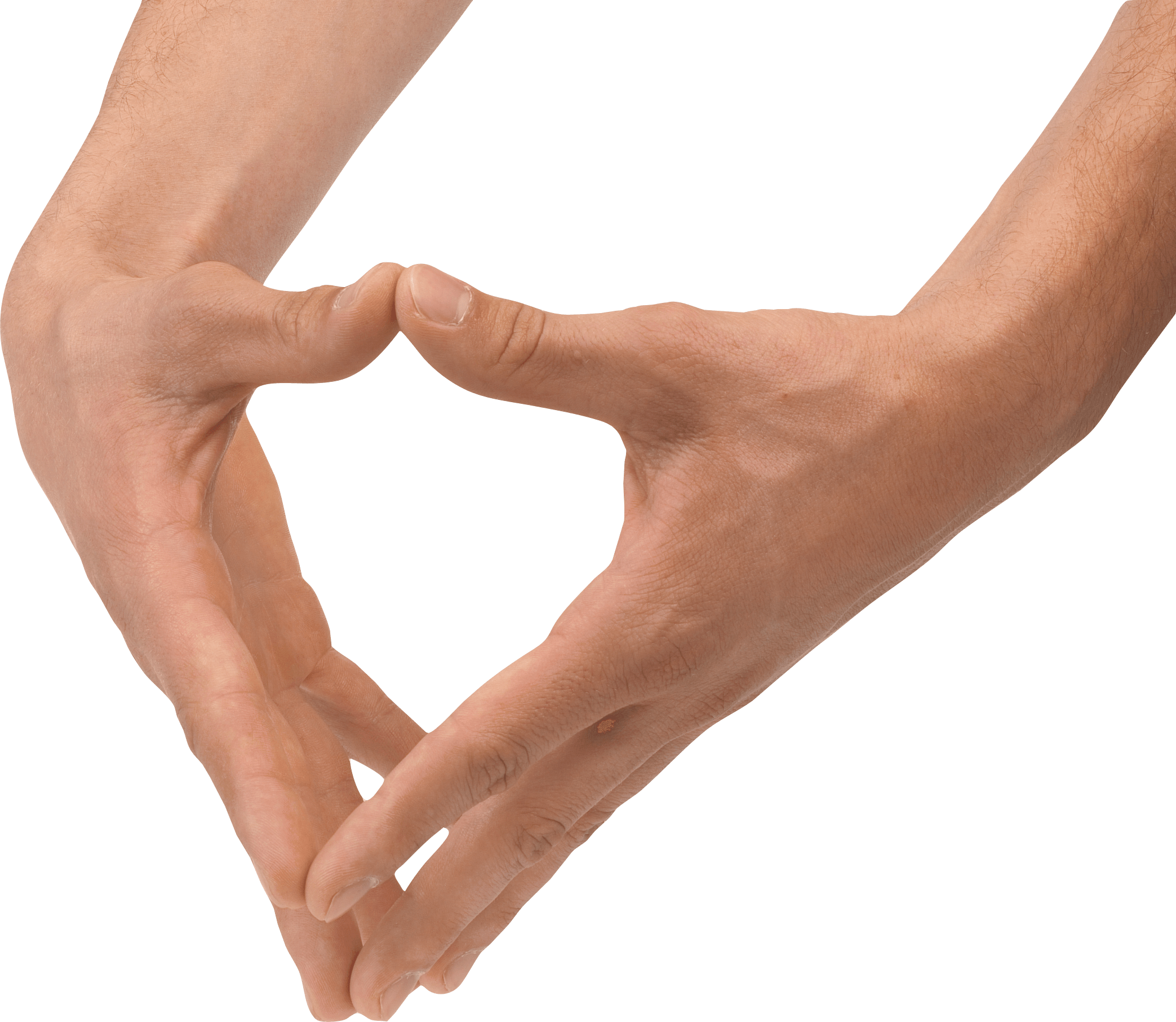 Hands Hand Transparent PNG Image