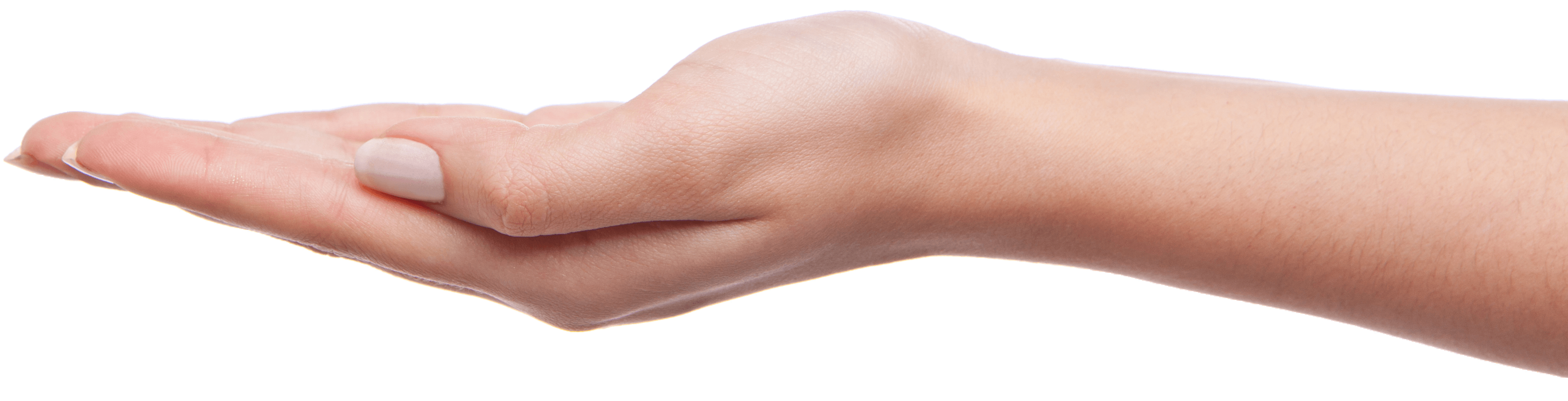 Palm Hands Hand Transparent PNG Image