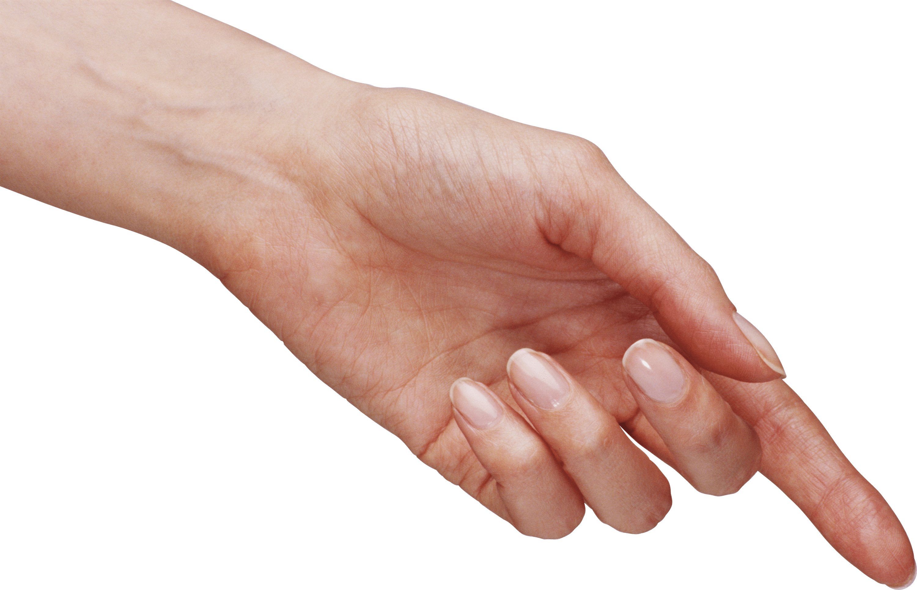 Hands Hand Transparent PNG Image