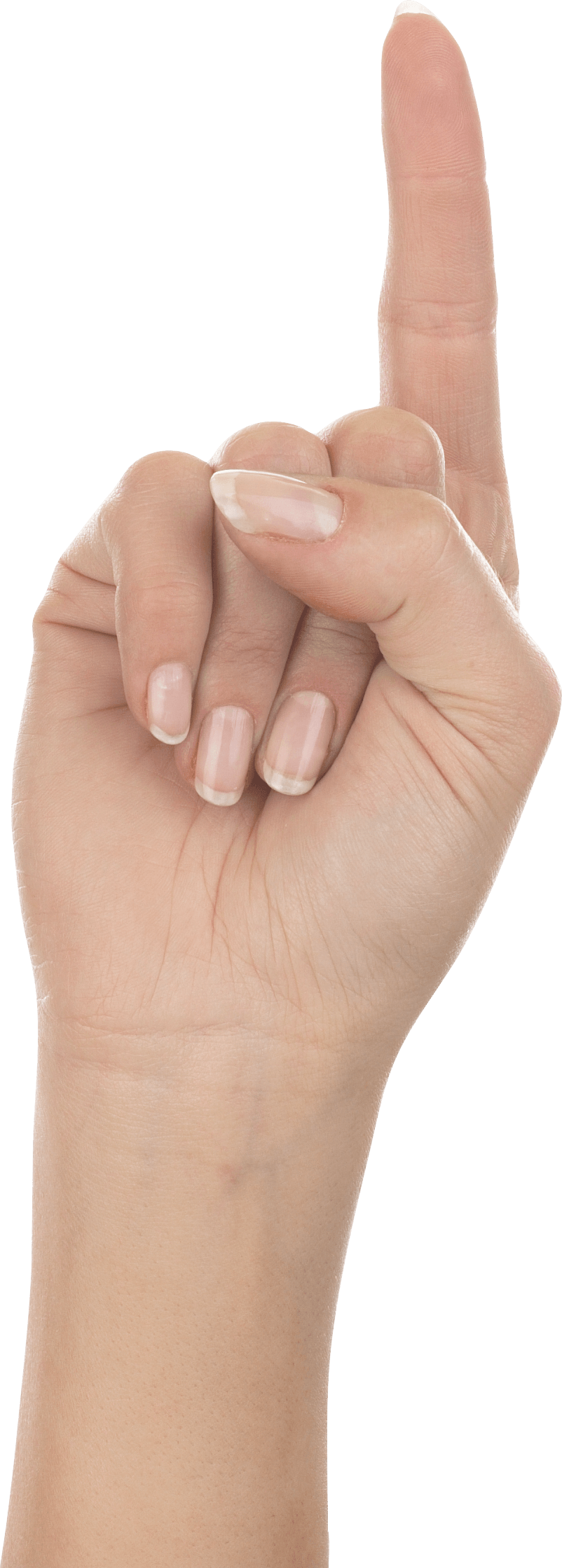 Hands Hand Transparent PNG Image
