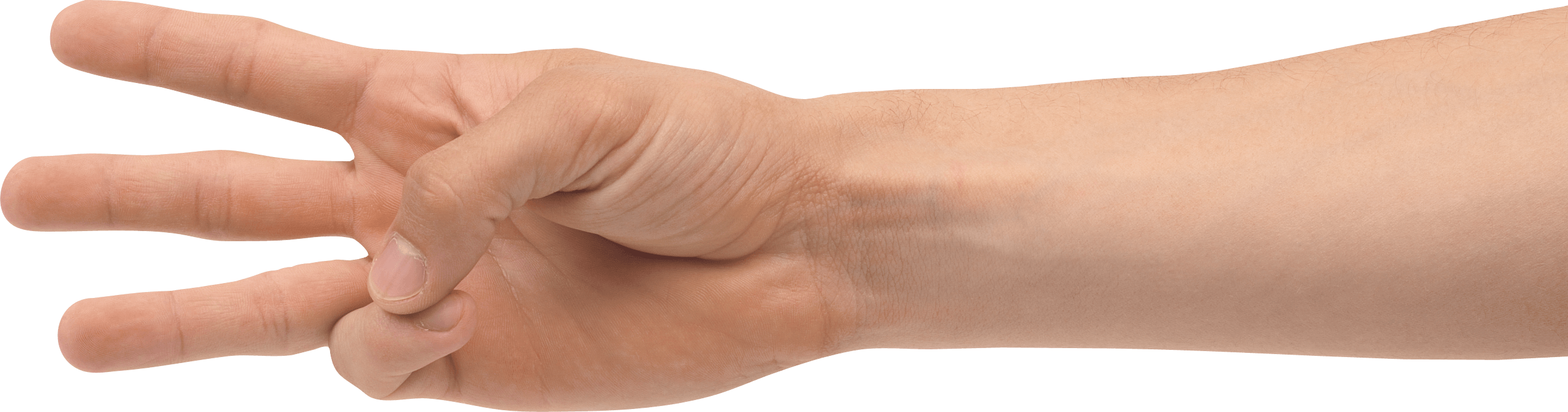 Hands Hand Transparent PNG Image