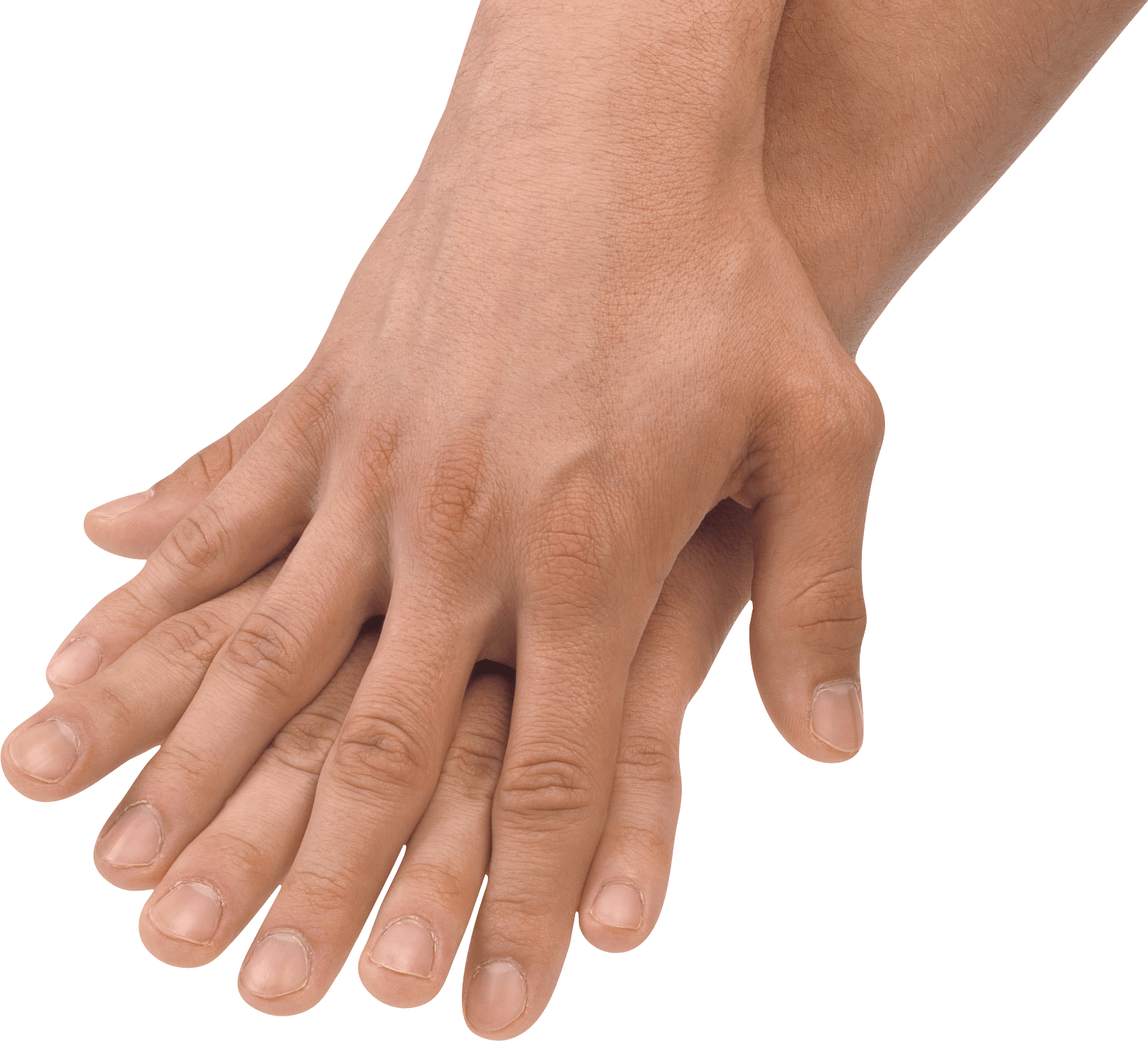 Hands Hand Transparent PNG Image
