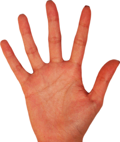 Palm Hands Hand Transparent PNG Image