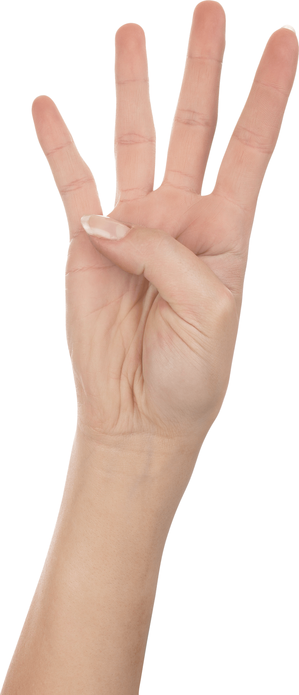 Four Finger Hand Hands Hand Transparent PNG Image