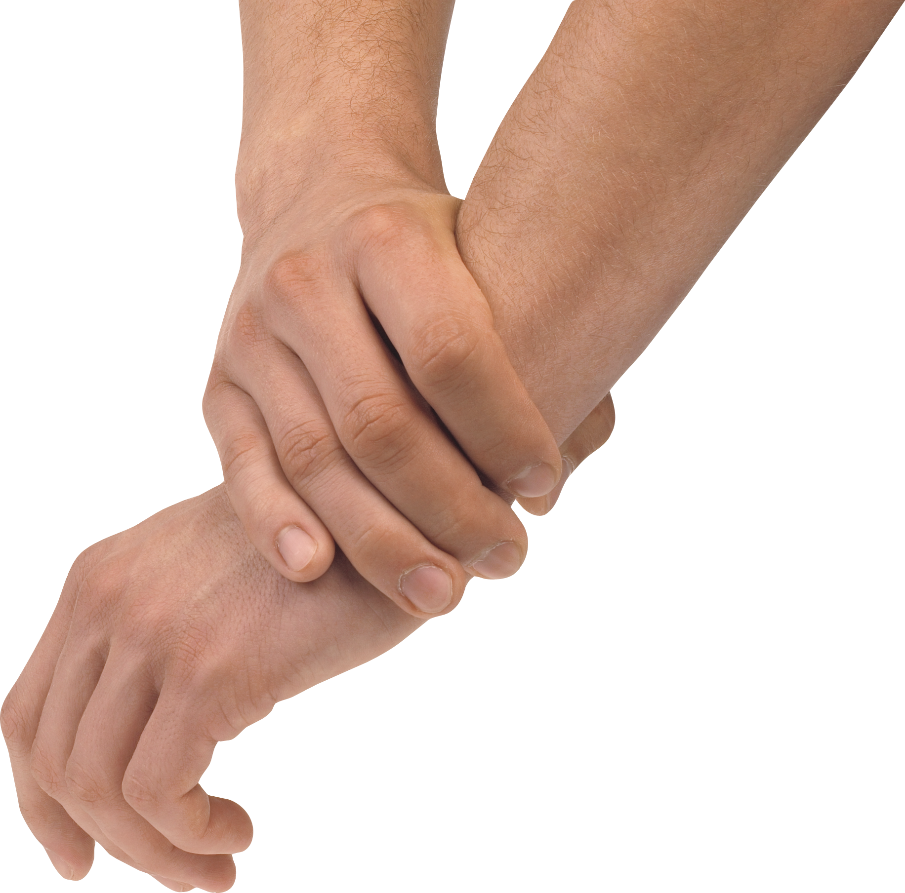 Holding Female Hands Transparent PNG Image