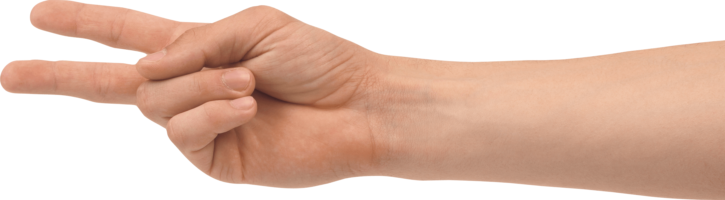 Two Finger Hand Hands Hand Transparent PNG Image