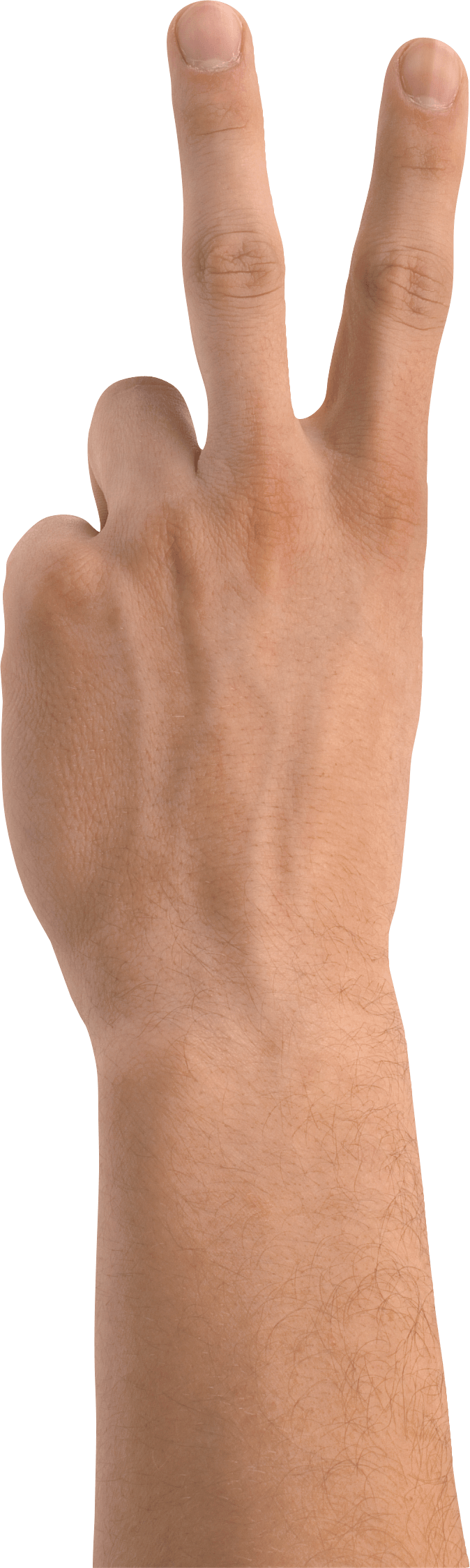 Hands Hand Transparent PNG Image