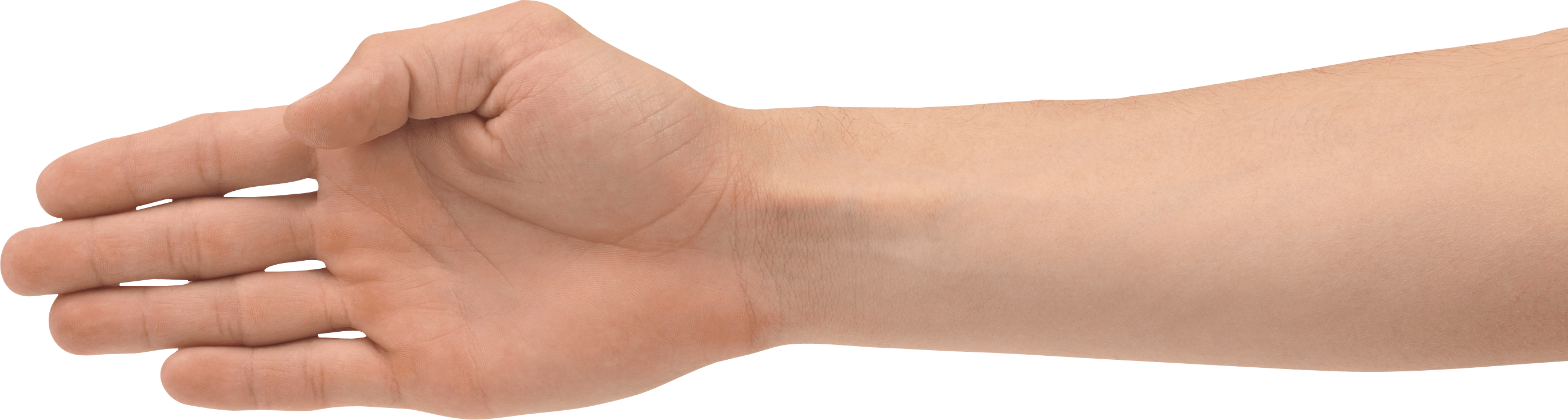 Hands Hand Transparent PNG Image