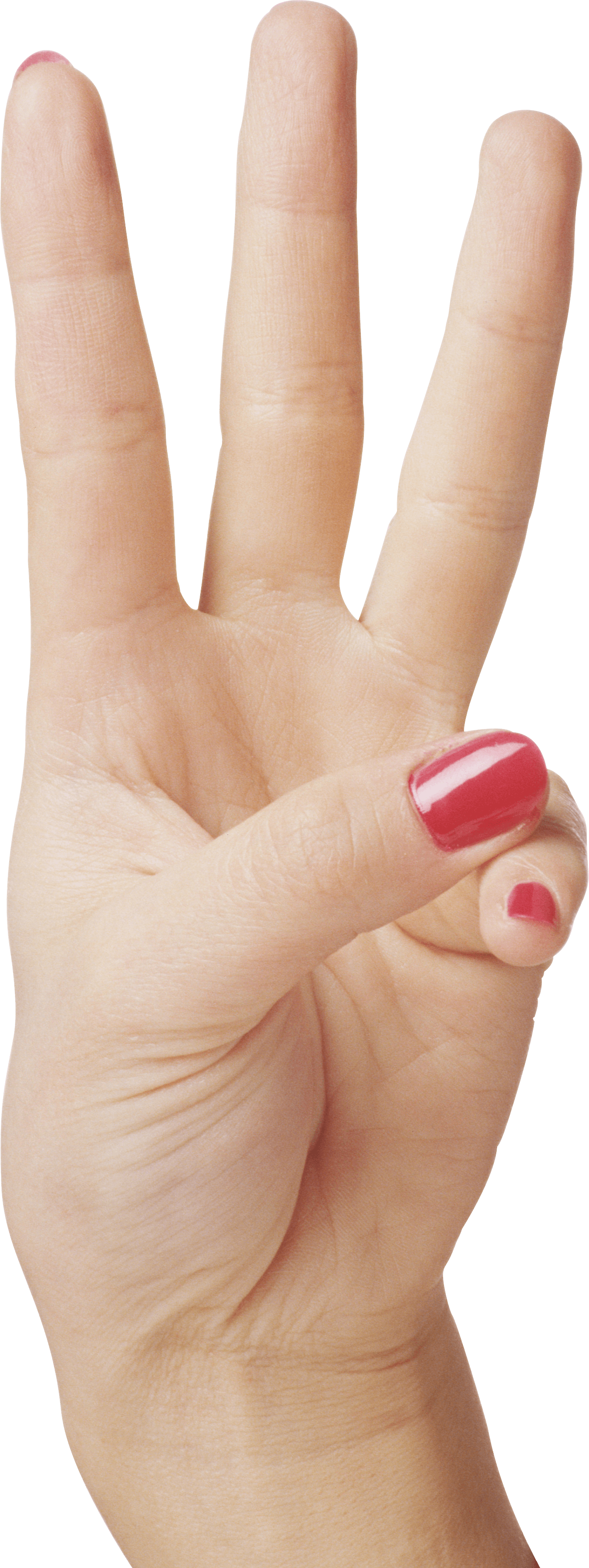 Hands Hand Transparent PNG Image