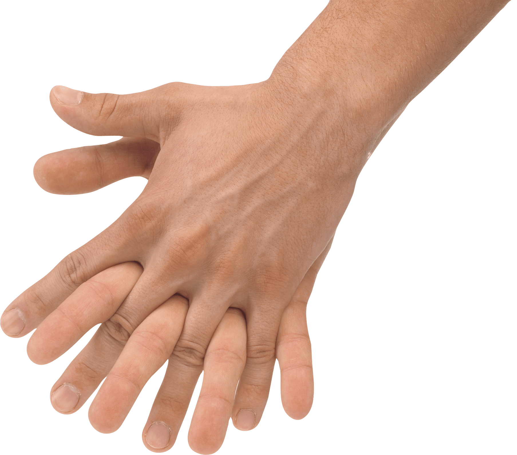 Hands Hand Transparent PNG Image