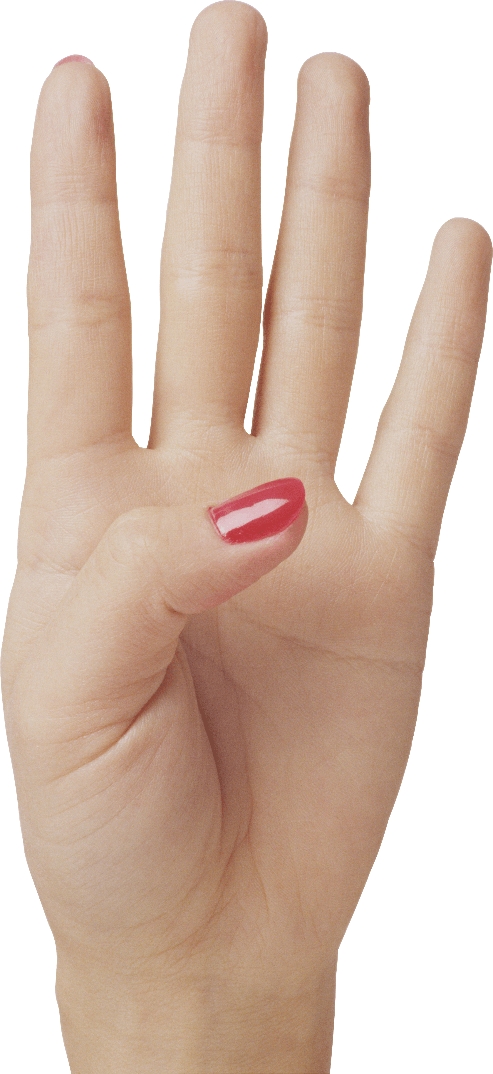 Hands Hand Transparent PNG Image
