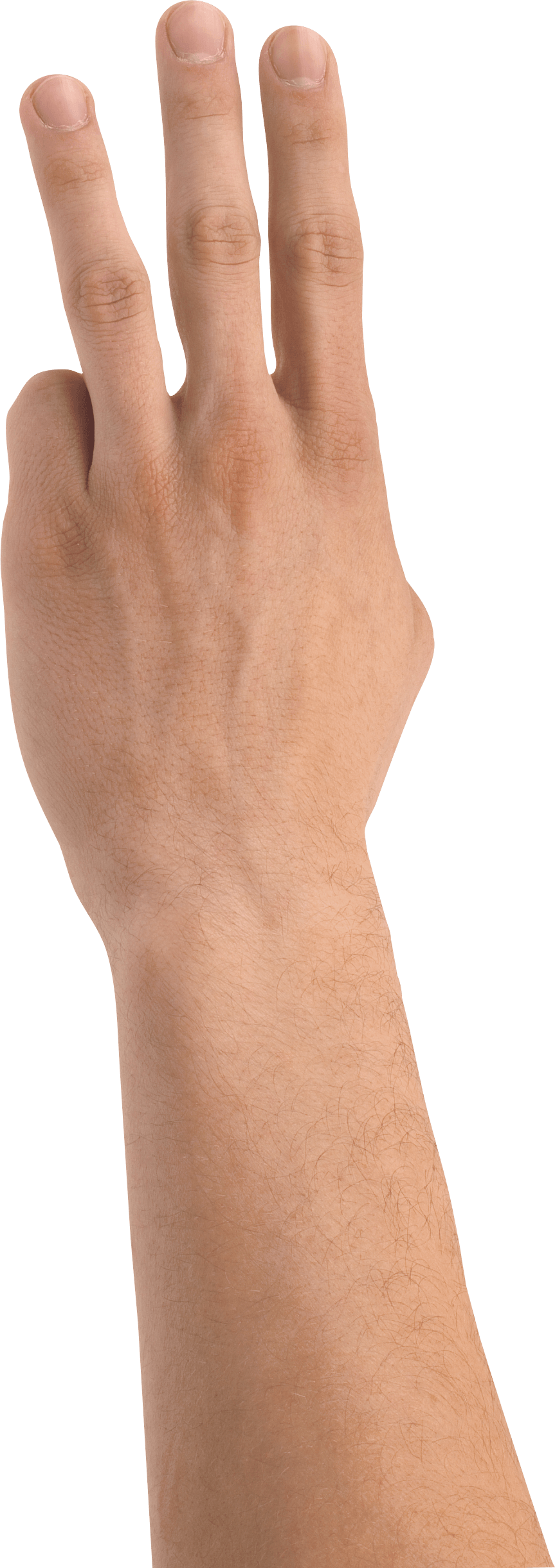 Hands Hand Transparent PNG Image