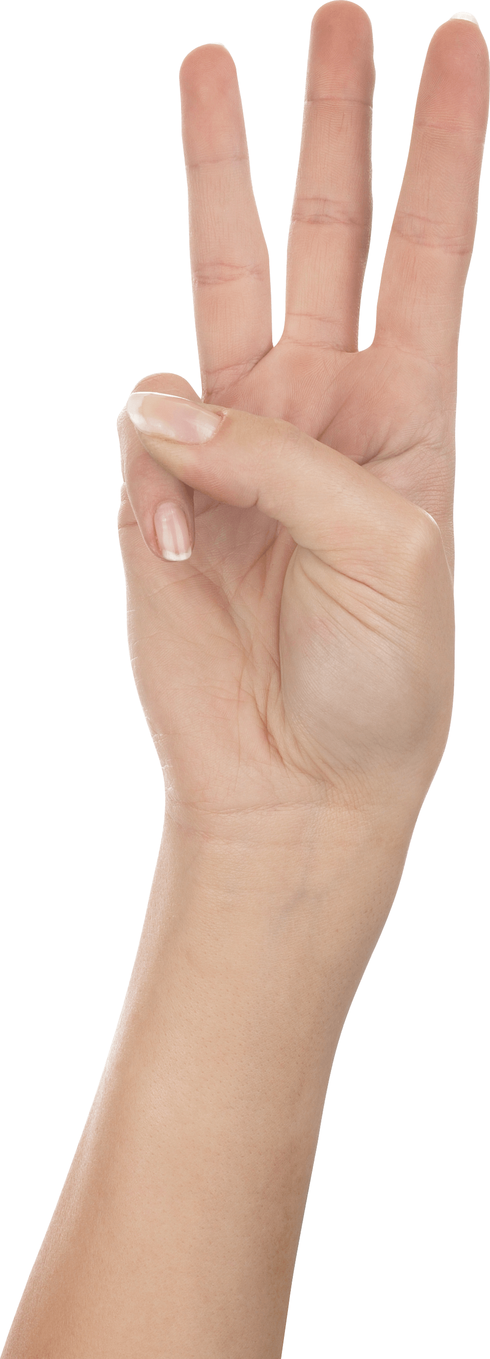 Three Finger Hand Hands Hand Transparent PNG Image