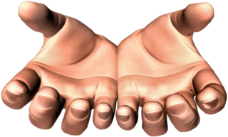 Hands 9 Transparent PNG Image