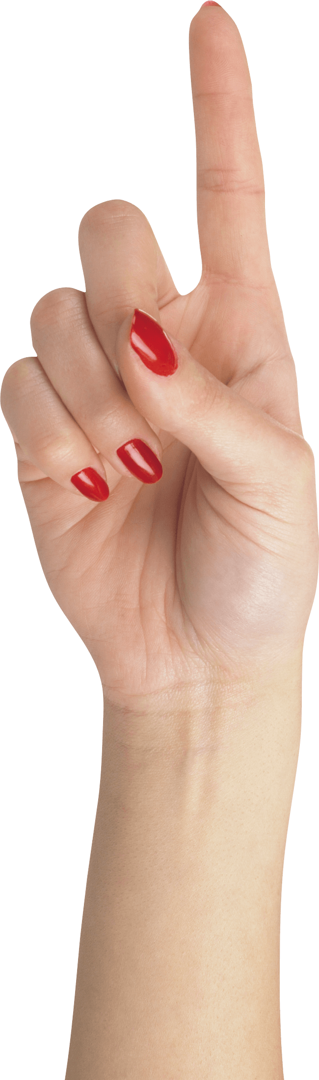 Hands Hand Transparent PNG Image