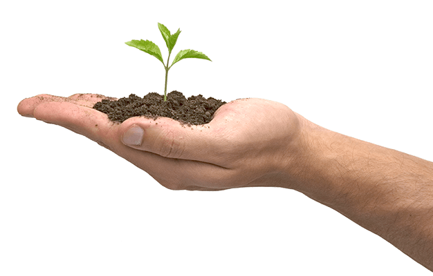 Little Green Sprout Hands Hand Transparent PNG Image