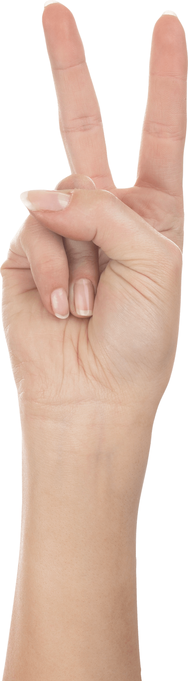 Hands Hand Transparent PNG Image