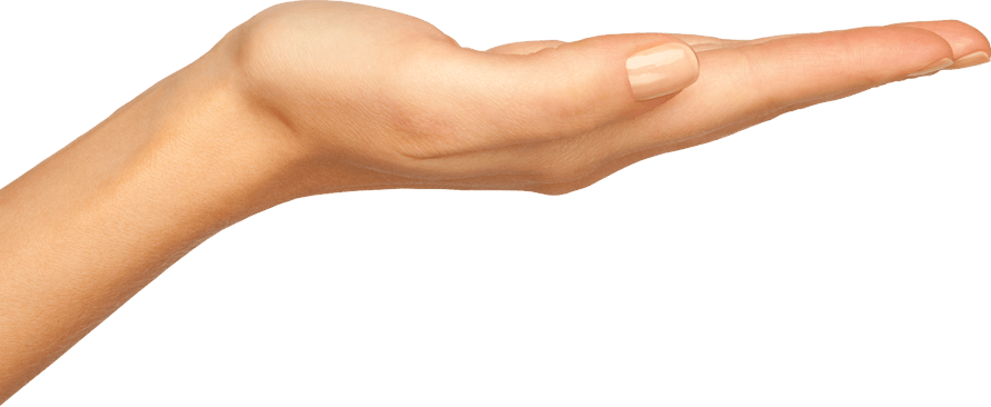 Hands Hand Transparent PNG Image