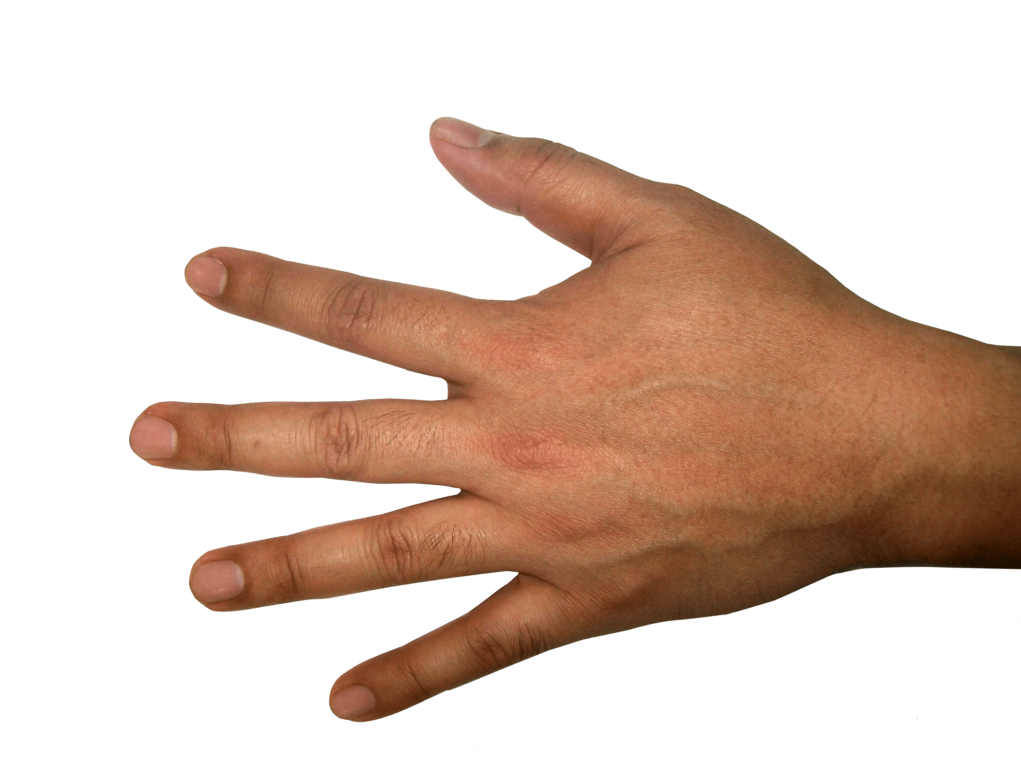 Hands Hand Transparent PNG Image