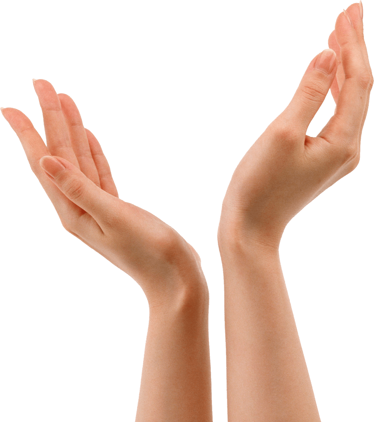 Hands Hand Transparent PNG Image
