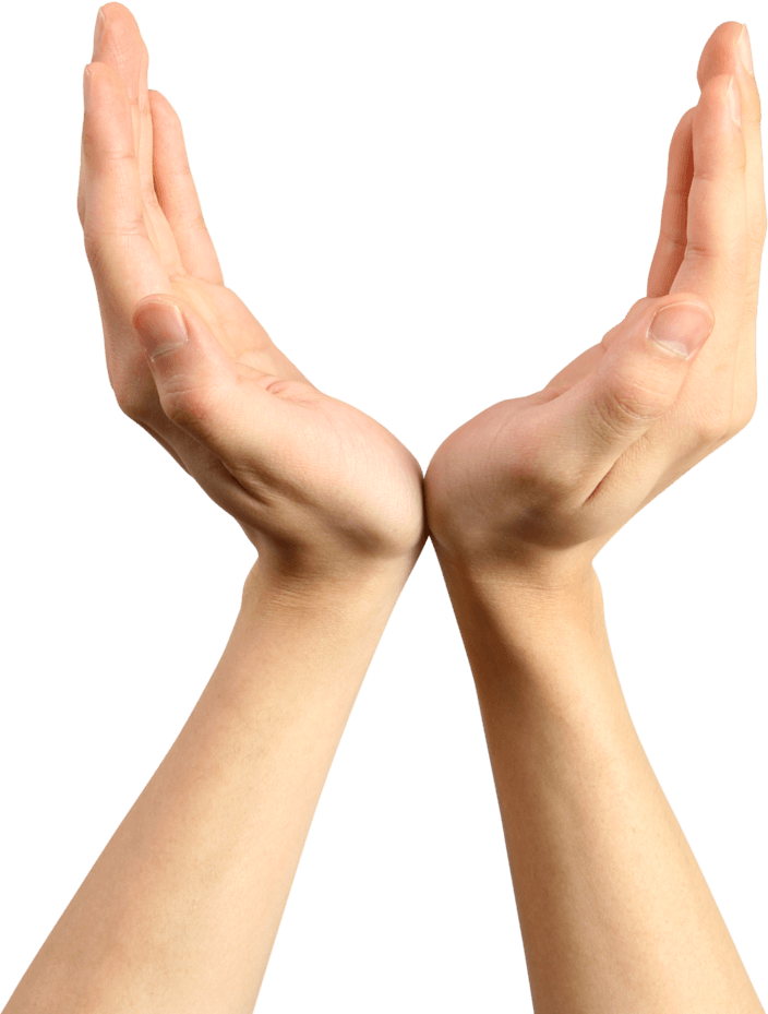 Hands Hand Transparent PNG Image