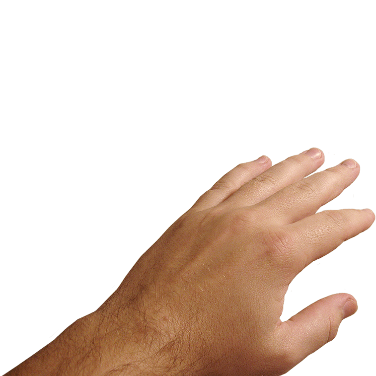 Hands Hand Transparent PNG Image